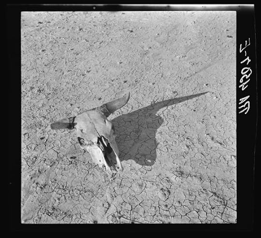 Altered Images_Arthur Rothstein