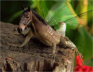 half breed monster photo: ~~HALF BREED~~ Horse_Flard_by_mceric.jpg