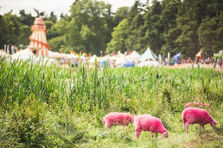Latitude 2015