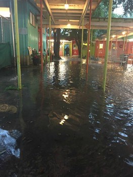 Donations of dog food, treats, towels, etc. can be dropped off at Austin Pets Alive.