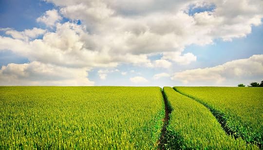 imageedit_1_9771521762