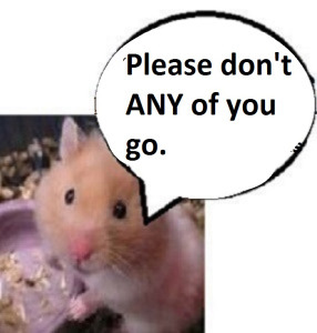 zhamsta41100167676767676767676