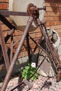 bloom2