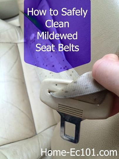 How to Clean a Mildewed Seat Belt