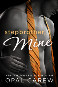 StepbrotherMine_HR