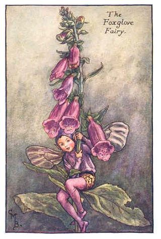 Foxglove Fairy by Cicely Mary Barker
