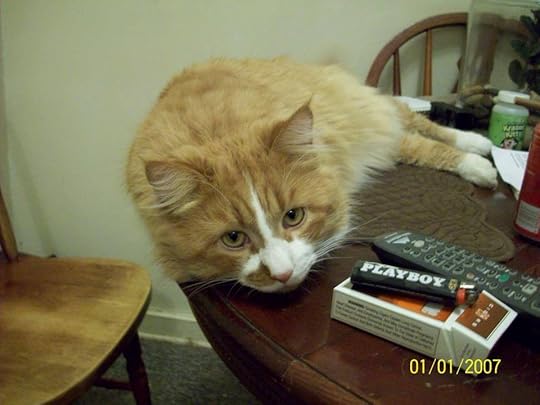 Image and video hosting by TinyPic