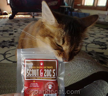 Admittedly, the package does not taste as good as the actual treats