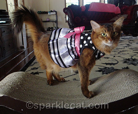 Would Audrey Hepburn wear this?