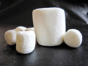 Giant marshmallows. What if they were bears?