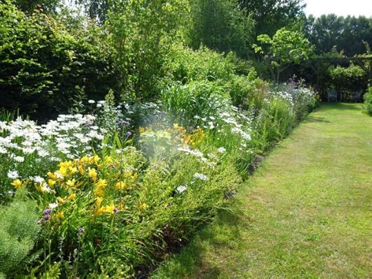 One side of our own mixed (shrubs and herbaceous perennials) double border.