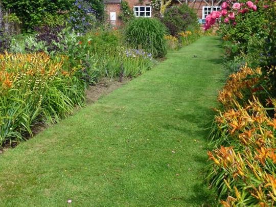 Our small mixed border, with the Hemerocallis ‘Hornby Castle’.