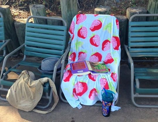 Shady Spot at Magic Springs