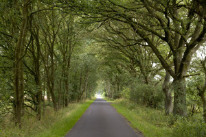 The Road There -- Allowing