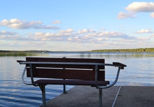 bench on dock
