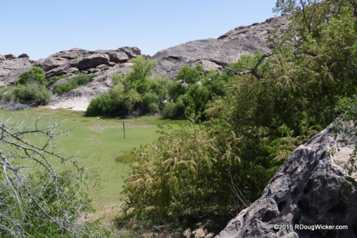 Hueco Tanks Wetland