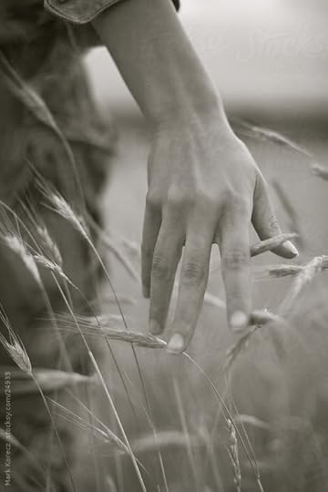  photo c32236ae7b832a7e0592b107b521ad1e_2_zps6wm8v5lm.jpg