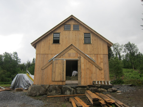 Windows. And Bob's ass. 