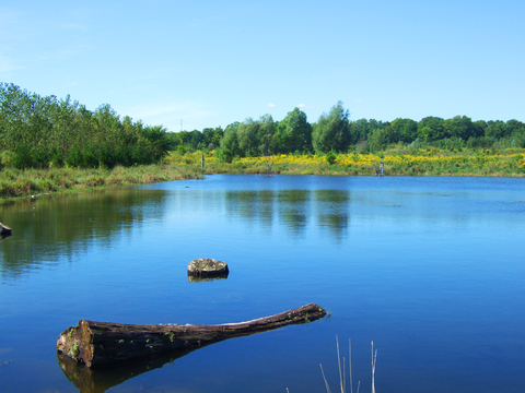 Photo: Rouge park deserves the same protection as other Canadian parks