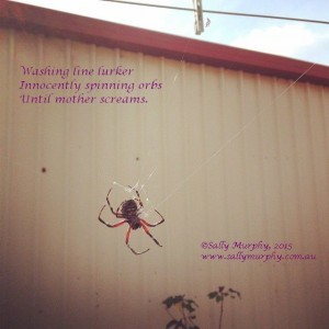 Spider Haiku