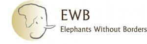 elephants_without_bord