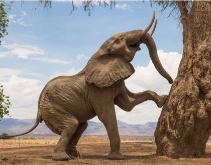 Photograph by Jez Bennett for the National Geographical Traveler Photo Contest
