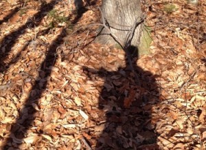 A possible piece of the cover art for the next Bernie O'Dea mystery novel, generously provided by Scott Monroe.