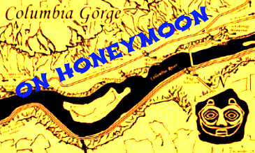 thumbnail image 2 of River Marked: Mercy Thompson: Book 6 2 of 14