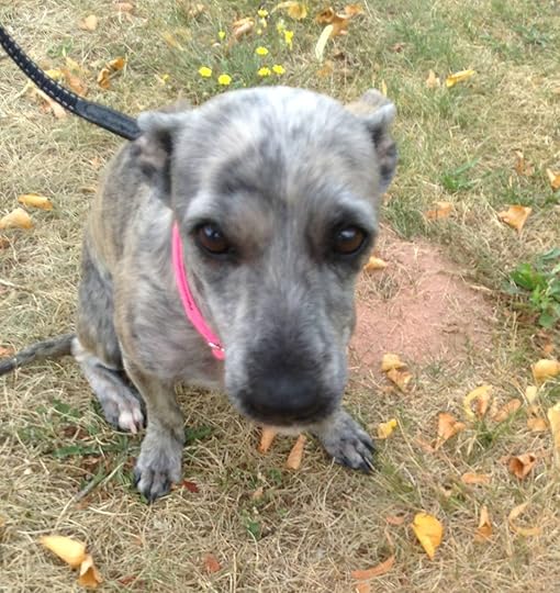 11823114_10207196479047531_2363915474570776333_o