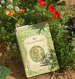 A lovely summer read