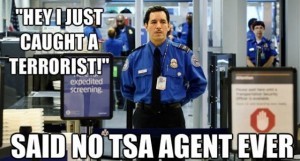 -MEME-2014-TSA-LOL