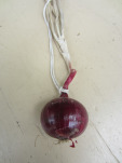 red onion on string