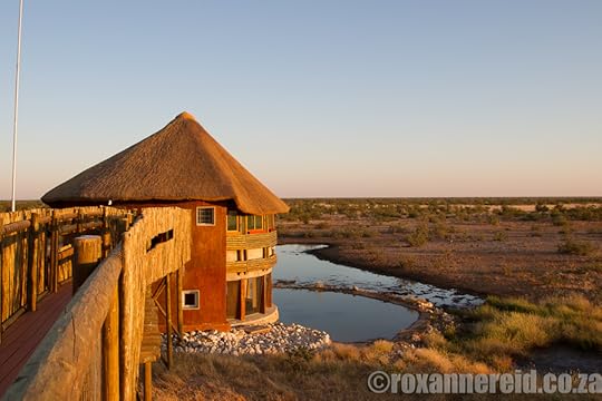 Olifantsrus campsite, Etosha, Namibia