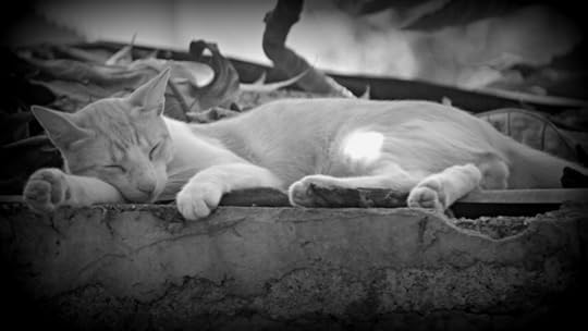 photo 101 weekend 2 play with light 024 bw