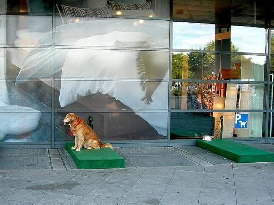 Doggy Parking Bays