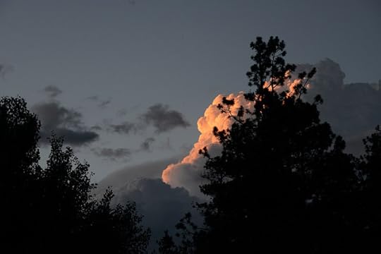 DSC_2128