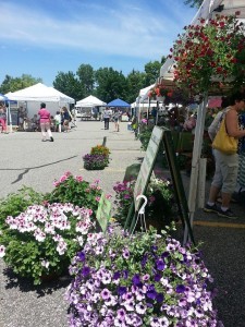 ada farmers market 2