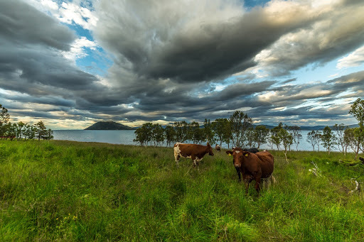 Magic Light and Clouds in Northern Norway. Photographer Benny Høynes