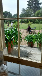 IMG_20150801_111950218_HDR