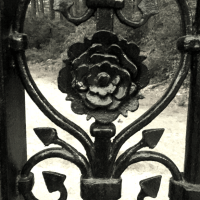 wrought iron rose