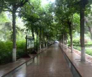 Free Things to do in Urumqi - Peoples Park - Survive Travel