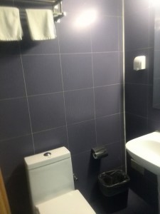 Urumqi Bestay Hotel Express Review - Survive Travel