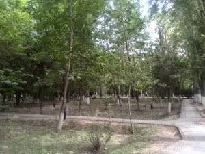 People's Park Free Things to Do in Kashgar - Survive Travel