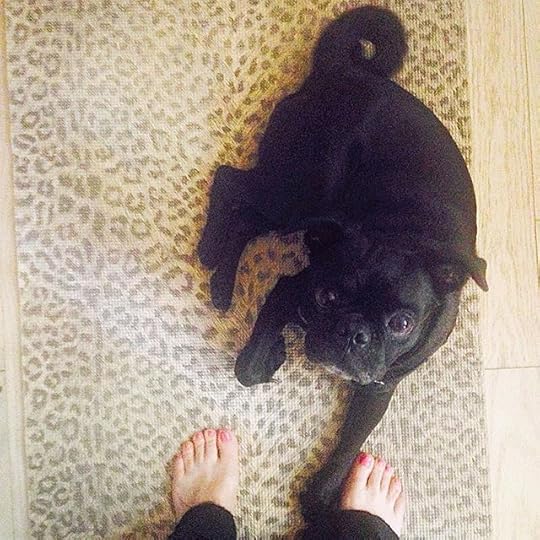 10261078_1467737390193630_1539045216_n