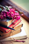 Dry rose on an old book/ Vintage Books and Roses