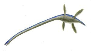 Thalassomedon_BW loch ness monster