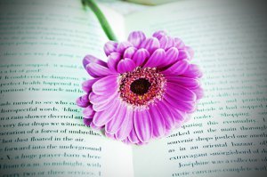 flower-on-the-book