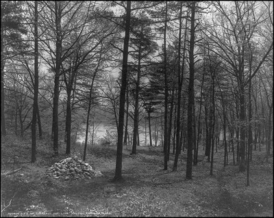 Site of Thoreau's cabin on Walden Pond, circa 1908 (Library of Congress)