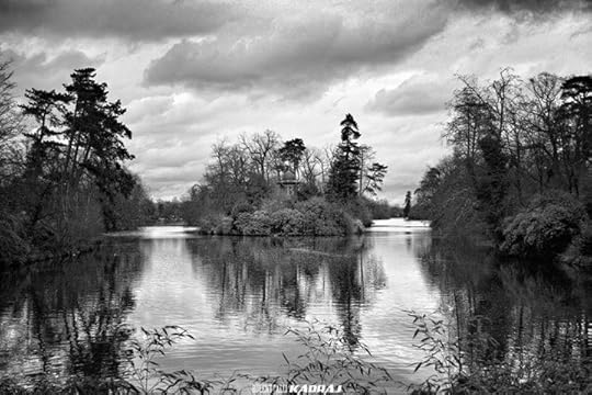 10994326_834968663242240_3286096869859457910_o