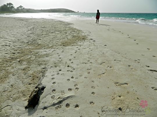 beach and flowers 055 wm
